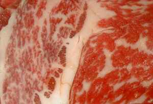 Wagyu Beef Picture